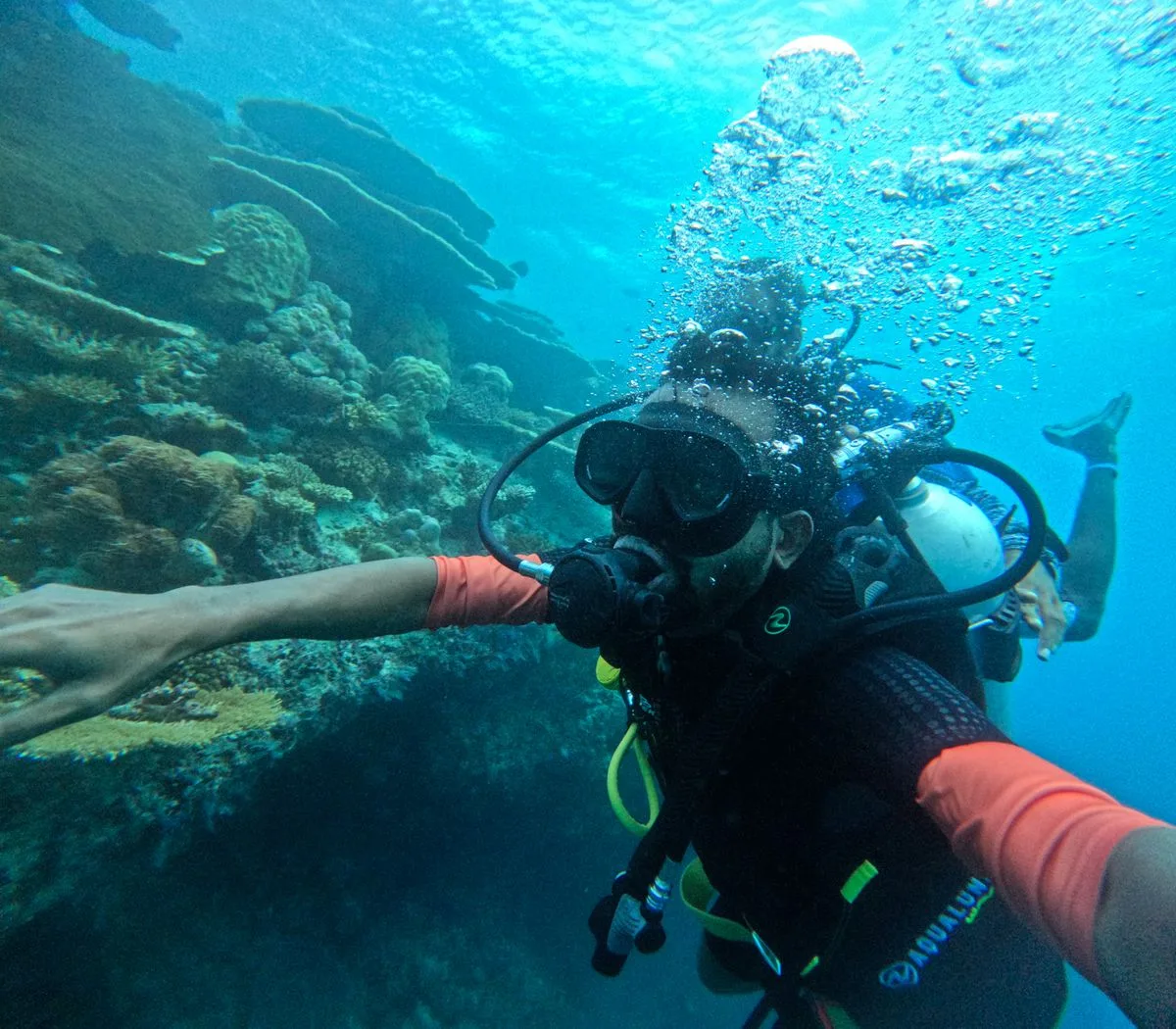 Scuba divers exploring a Maldives reef